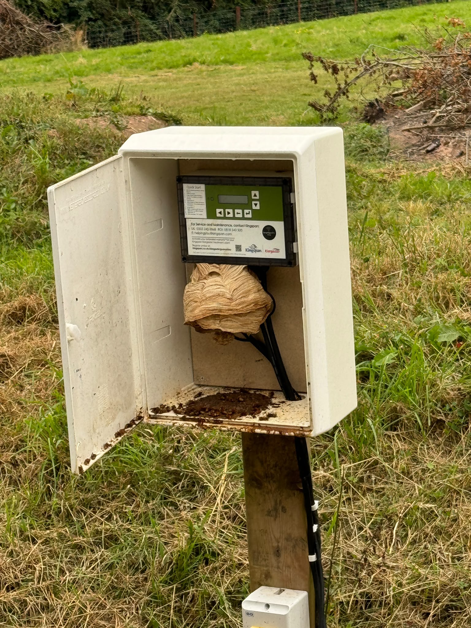 A hornets nest in an electrical unit